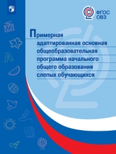 ОВЗ Примерная адаптированная основная общеобразовательная программа начального общего образования слепых обучающихся